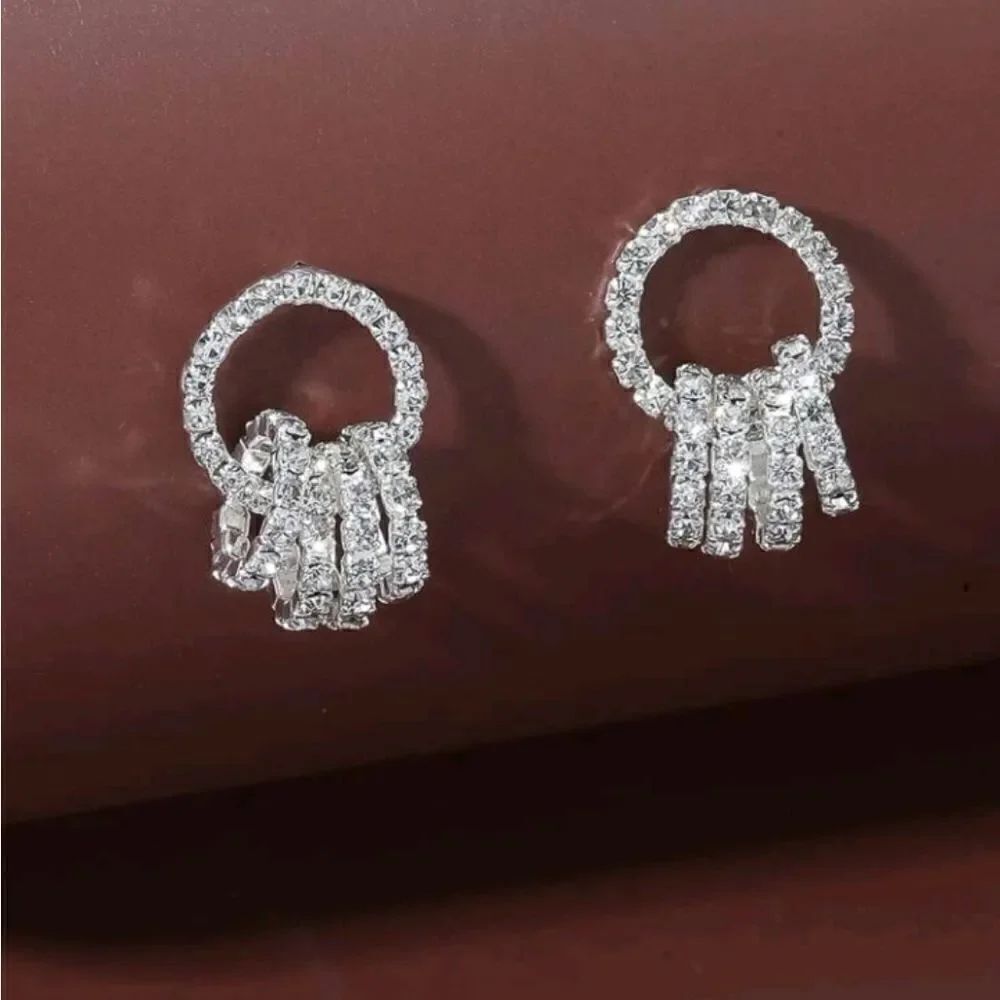 Silver Plated Diamond Circle Earrings